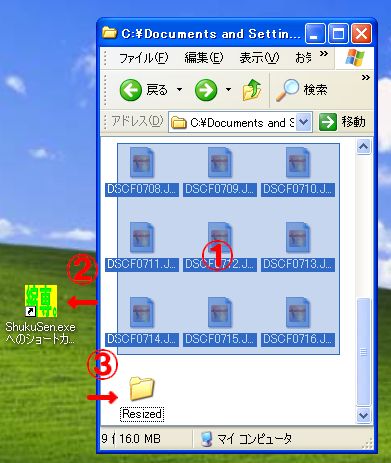 縮小専用アイコン